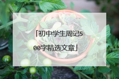 初中学生周记500字精选文章