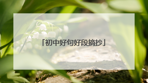 初中好句好段摘抄