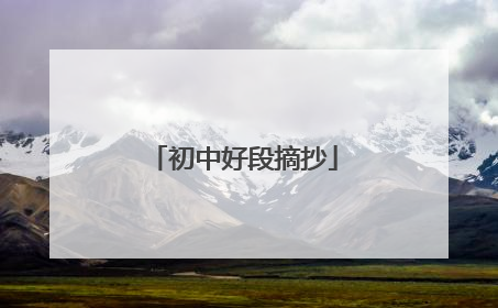 初中好段摘抄
