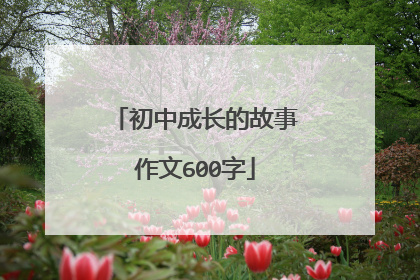 初中成长的故事作文600字