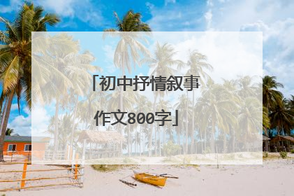 初中抒情叙事作文800字