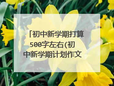 初中新学期打算500字左右(初中新学期计划作文500字以上)