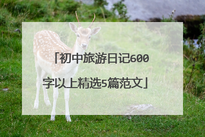 初中旅游日记600字以上精选5篇范文