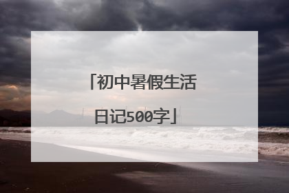 初中暑假生活日记500字