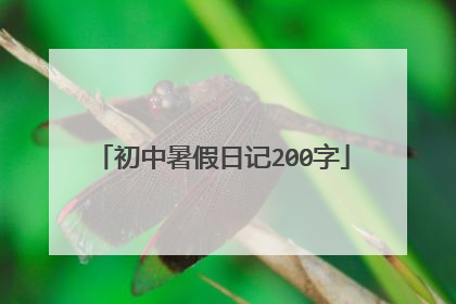 初中暑假日记200字