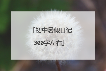 初中暑假日记300字左右