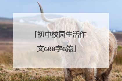 初中校园生活作文600字6篇