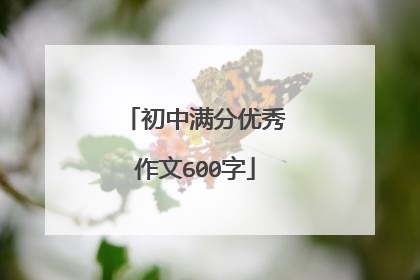 初中满分优秀作文600字