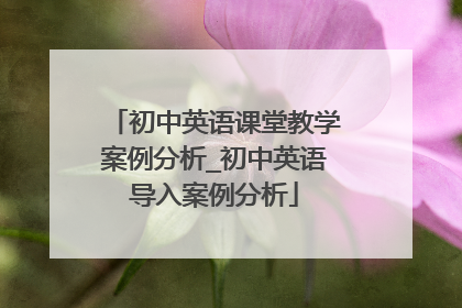 初中英语课堂教学案例分析_初中英语导入案例分析