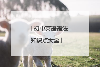 初中英语语法知识点大全
