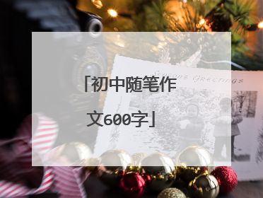初中随笔作文600字