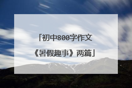 初中800字作文《暑假趣事》两篇