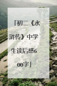 初二《水浒传》中学生读后感600字