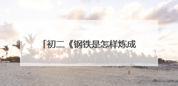 初二《钢铁是怎样炼成的》读后感600字
