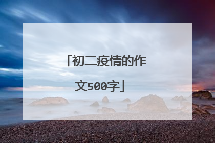 初二疫情的作文500字