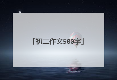 初二作文500字