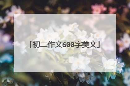 初二作文600字美文