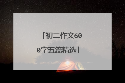 初二作文600字五篇精选