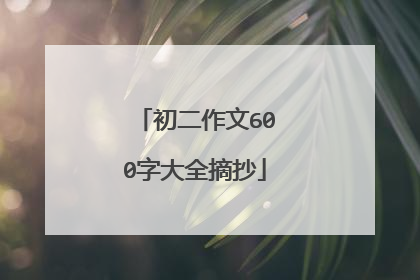 初二作文600字大全摘抄