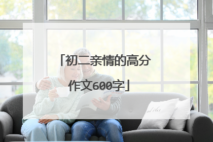 初二亲情的高分作文600字