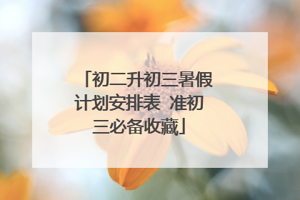 初二升初三暑假计划安排表 准初三必备收藏