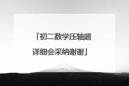 初二数学压轴题详细会采纳谢谢