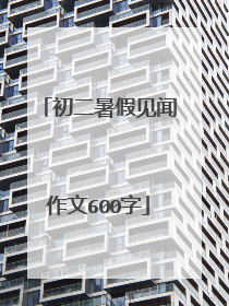 初二暑假见闻作文600字