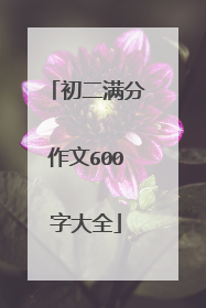 初二满分作文600字大全