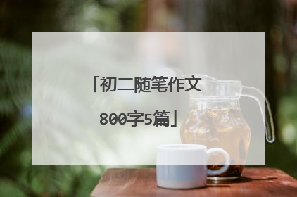 初二随笔作文800字5篇