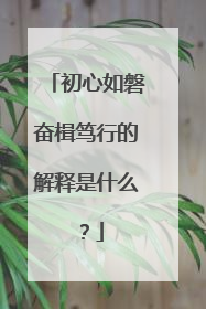 初心如磐奋楫笃行的解释是什么？