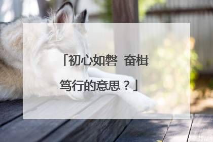 初心如磐 奋楫笃行的意思？