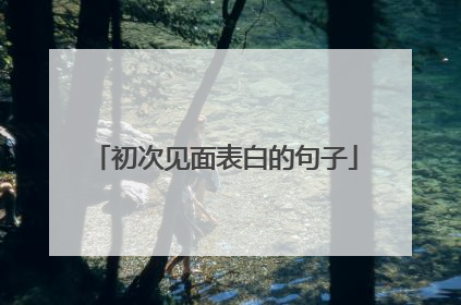 初次见面表白的句子