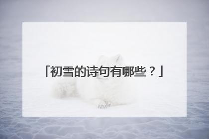 初雪的诗句有哪些?