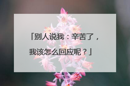 别人说我：辛苦了，我该怎么回应呢？