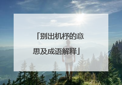 别出机杼的意思及成语解释