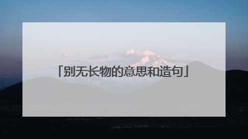 别无长物的意思和造句