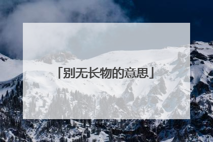 别无长物的意思