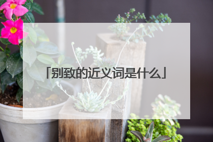 别致的近义词是什么