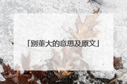 别董大的意思及原文