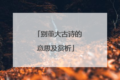 别董大古诗的意思及赏析