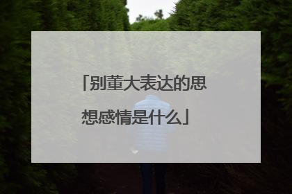 别董大表达的思想感情是什么