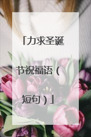 力求圣诞节祝福语（短句）