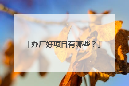办厂好项目有哪些？