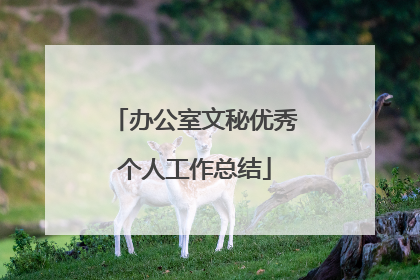 办公室文秘优秀个人工作总结