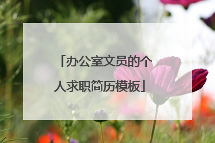 办公室文员的个人求职简历模板