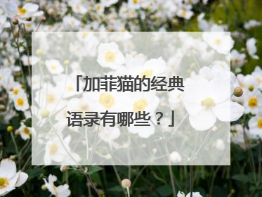 加菲猫的经典语录有哪些？