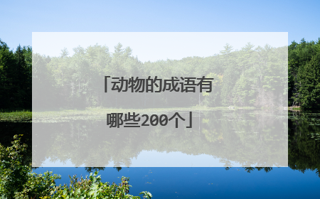 动物的成语有哪些200个