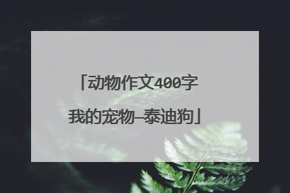 动物作文400字 我的宠物—泰迪狗