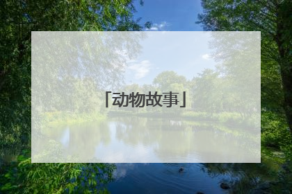 动物故事