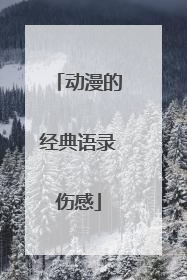 动漫的经典语录伤感